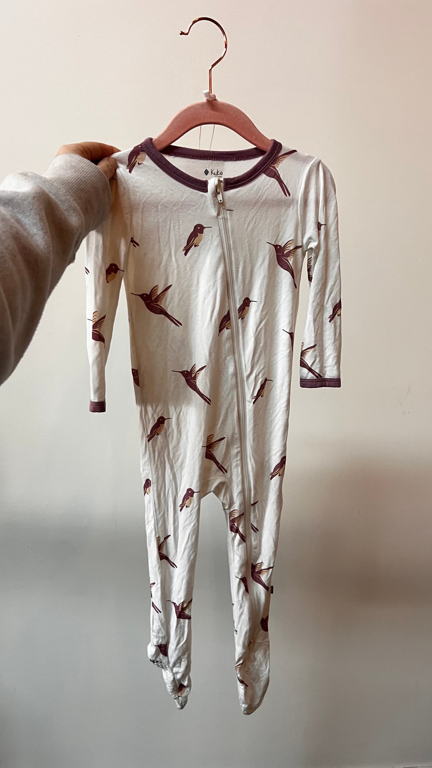 Trendy & Chic - Kyte Baby - 18-24m - Hummingbird Sleeper