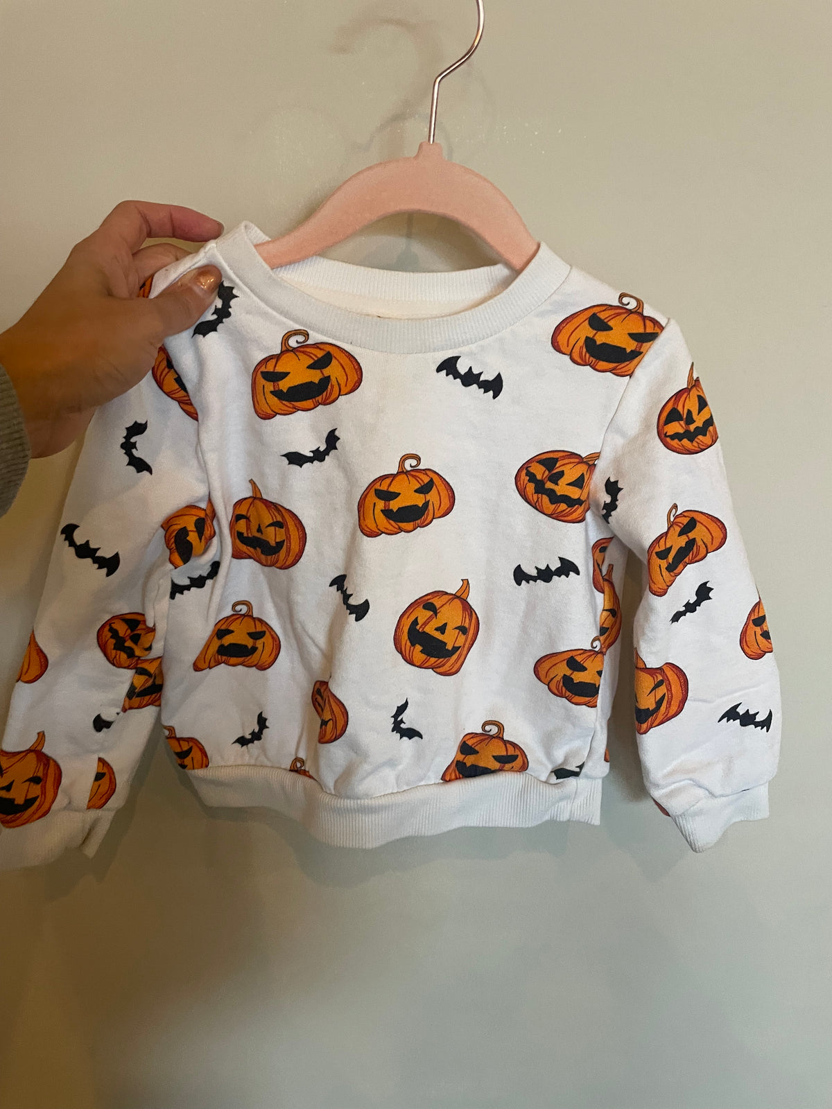 CAR MAR - Consignment - Cozy Cub Pumpkin Pullover - 2-3 T