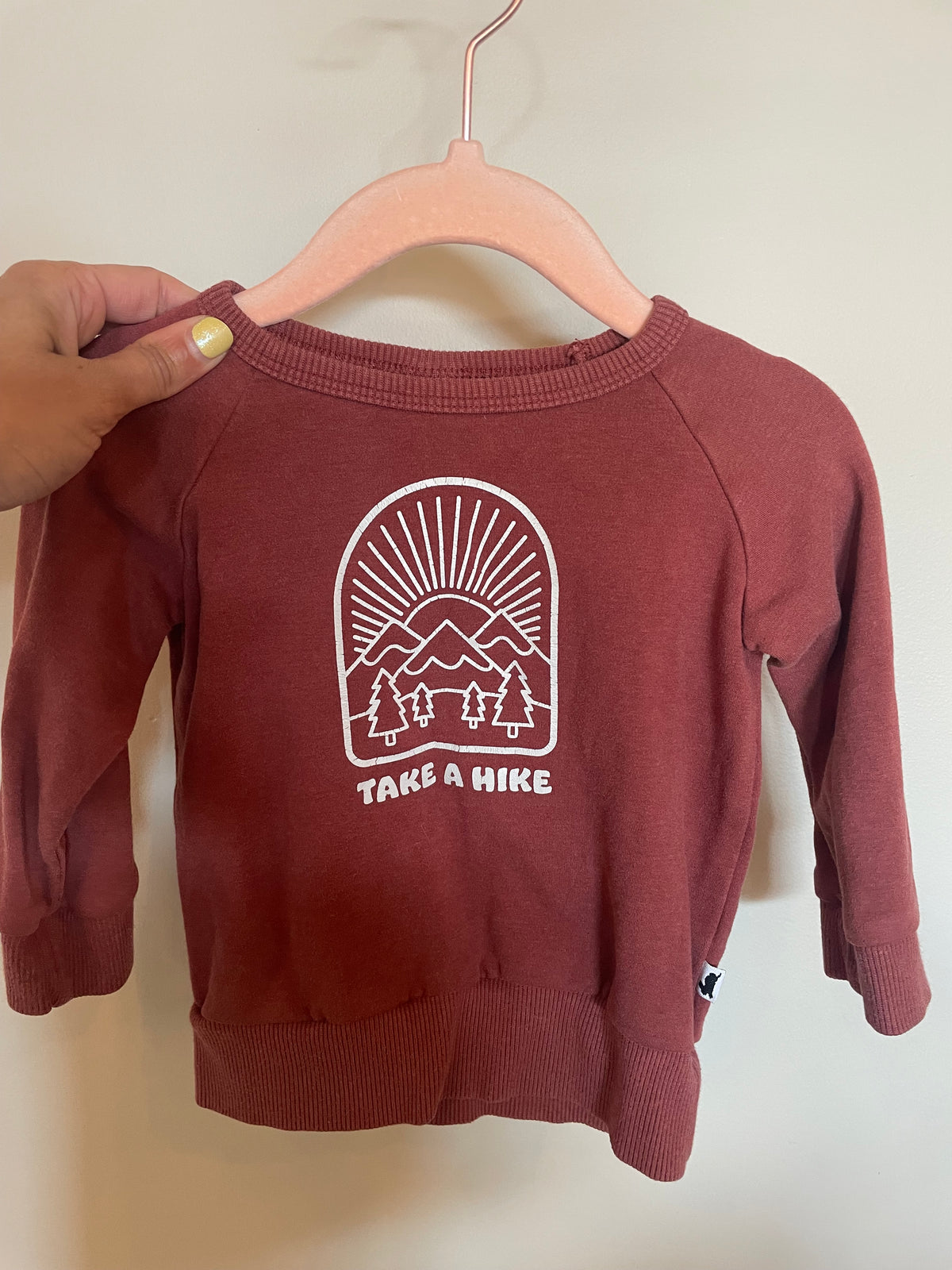 CAR MAR - Consignment - Little & Lively Hike Sweater - 6-12M