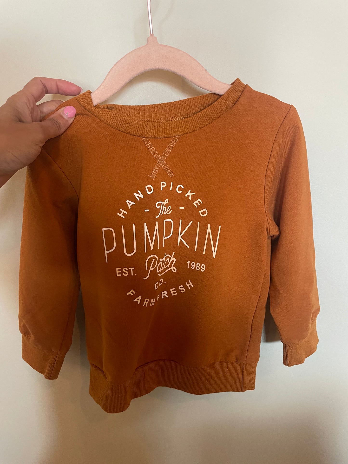 BM - Consignment - No Brand Pumpkin Patch Sweater - 3T