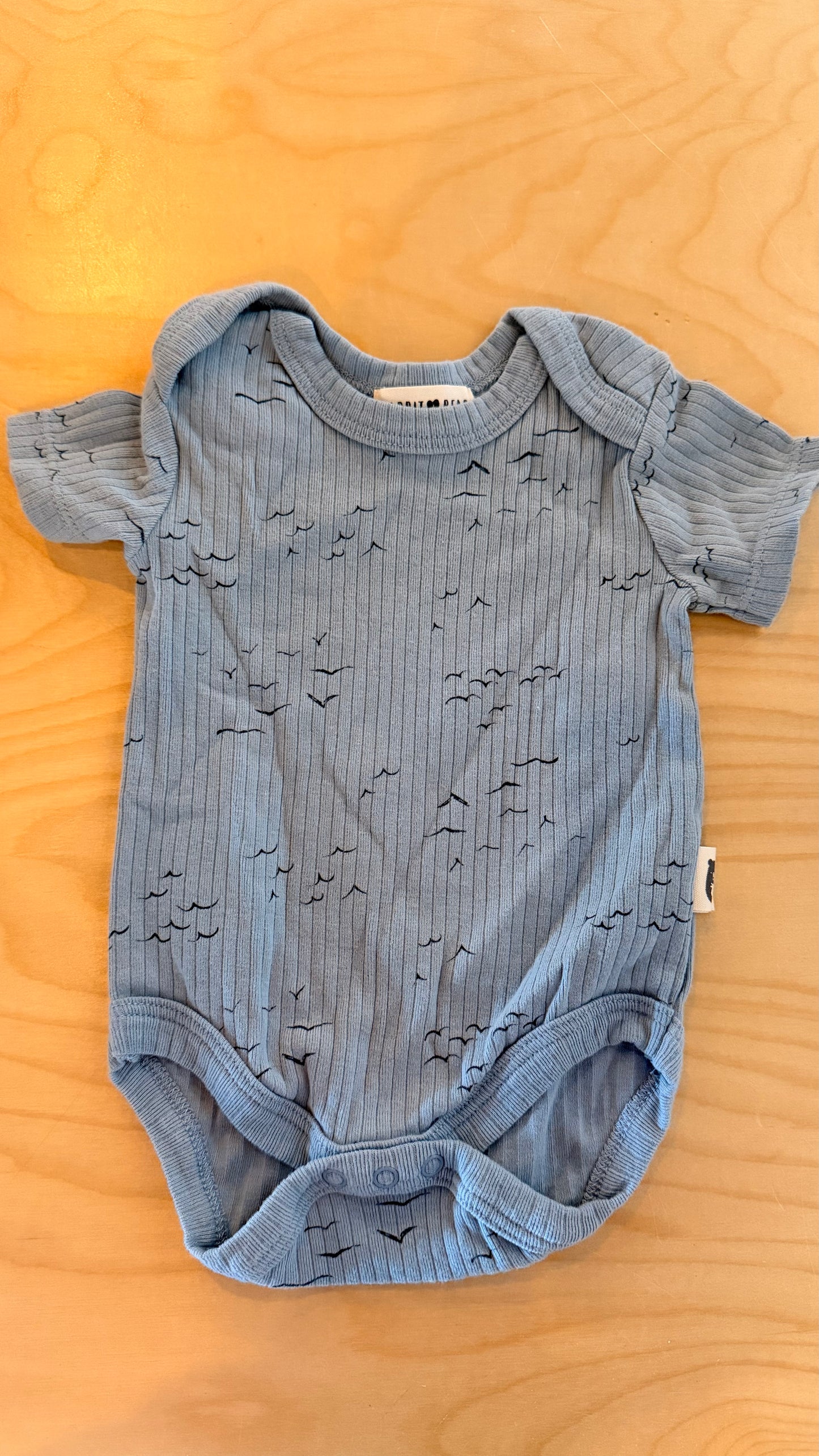 CC - Consignment - Rabbit Bear Light Blue Ribbed Birds Bodysuit 0-3M