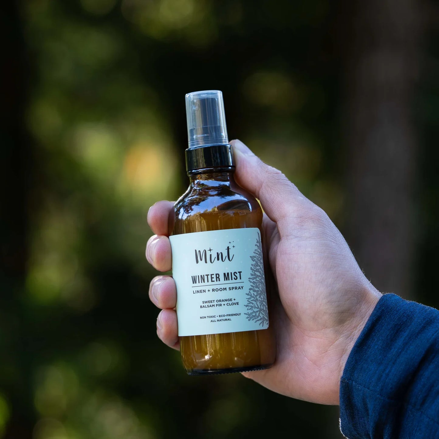 Mint Cleaning - Winter Mist - ORANGE + FIR + CLOVE