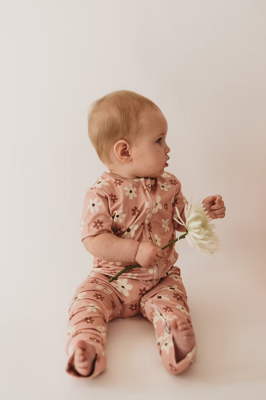 Little Aspen Baby Co - Daisy Dreams Short Sleeve Romper