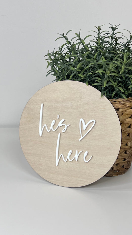 Sawdust & Stain - He’s Here/She’s Here Reversible Disc