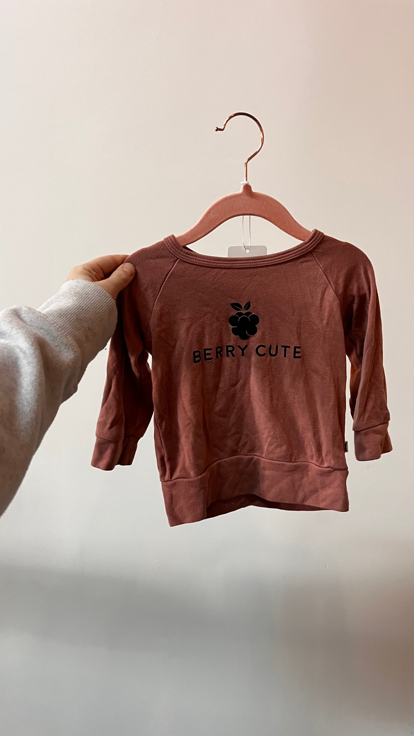 Trendy & Chic - Little Lively - 6-12M berry cute Sweater