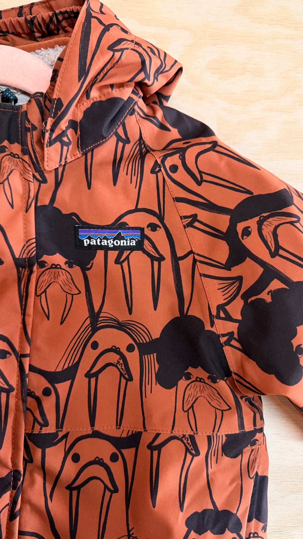 AB Consignment - Patagonia 3 in 1 All Seasons Jacket 2T