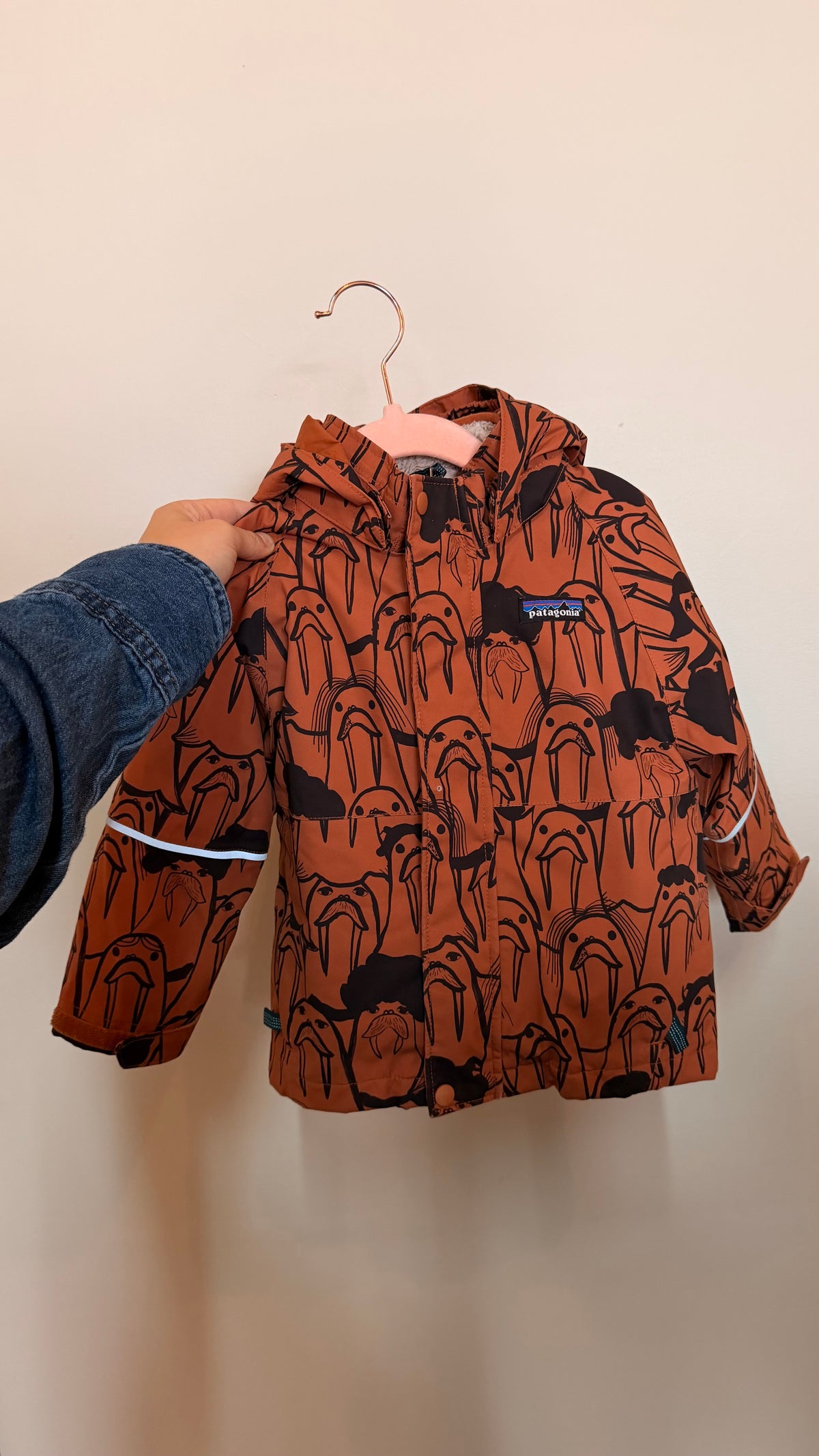 AB Consignment - Patagonia 3 in 1 All Seasons Jacket 2T