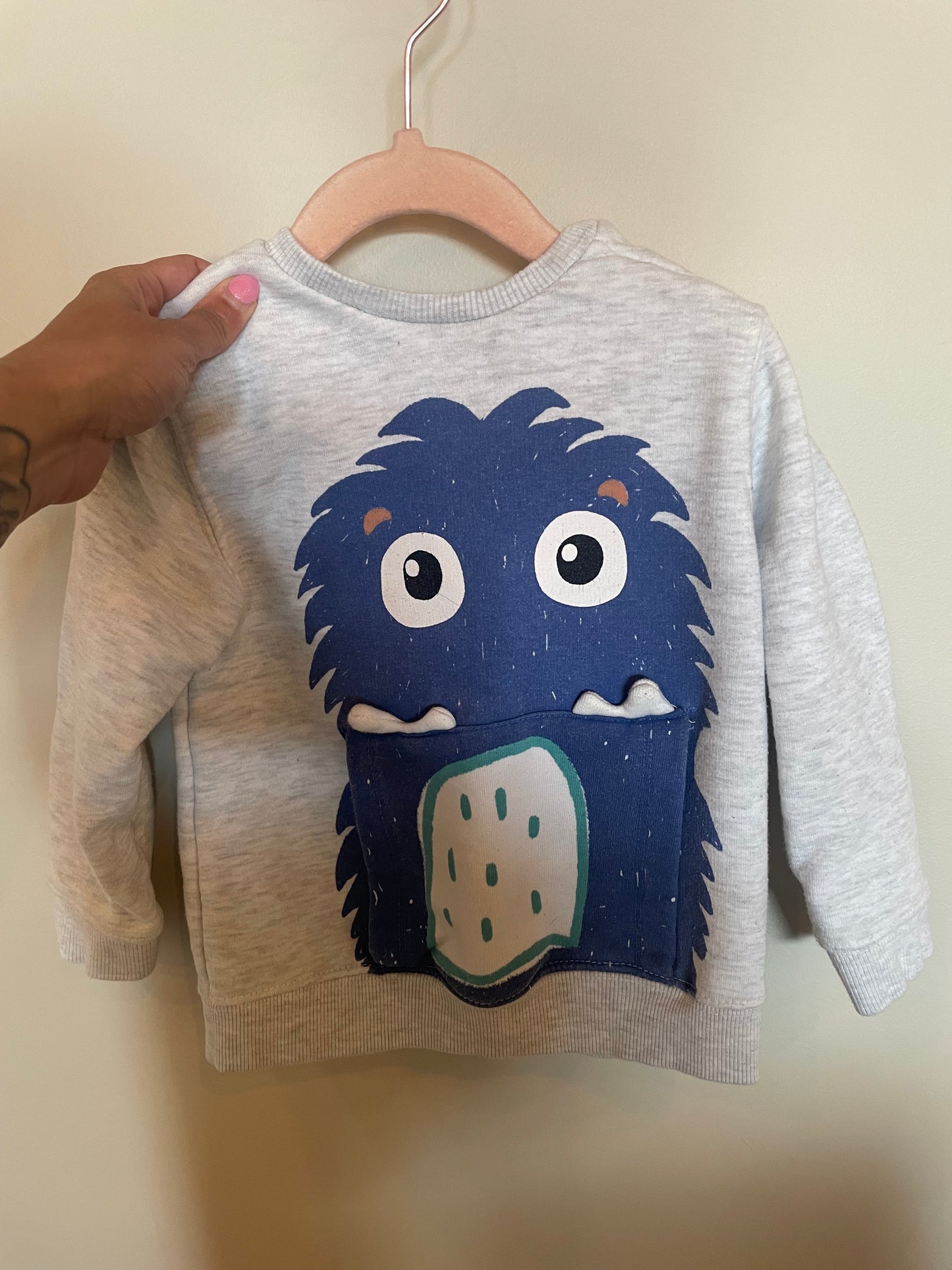 BM - Consignment - Zara Monster Pullover - 2-3T