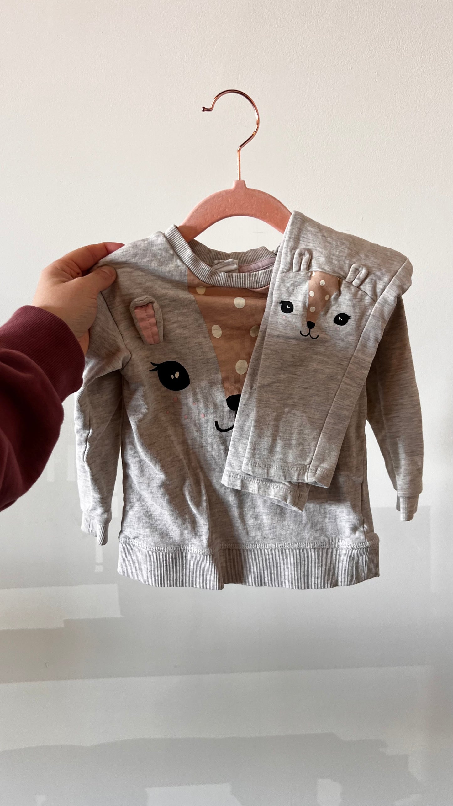MR - Consignment - H&M Animal Two Piece Set 2T