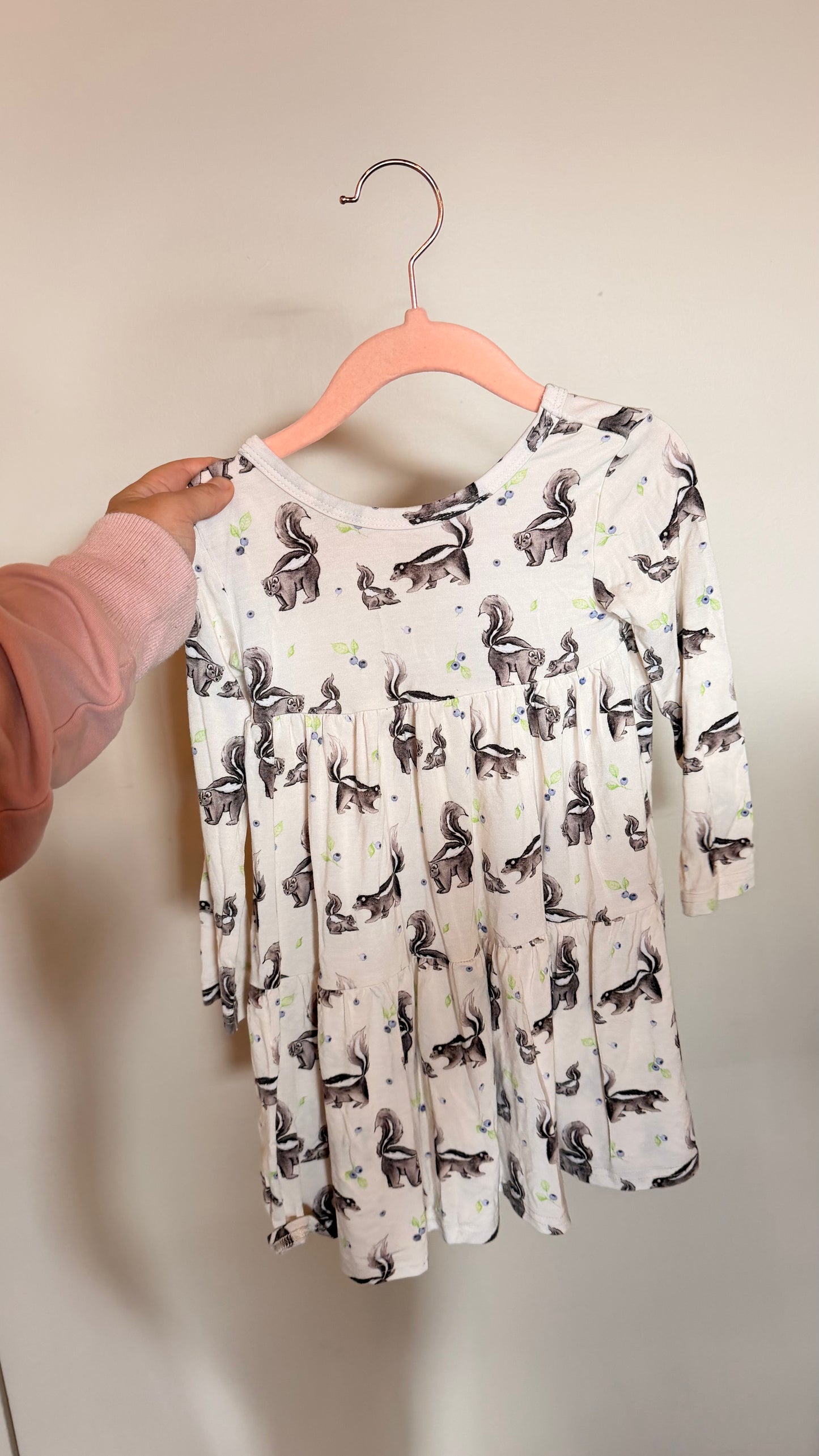 CD - Consignment - The Sleepy Soth - Bamboo Skunk Dress 2T