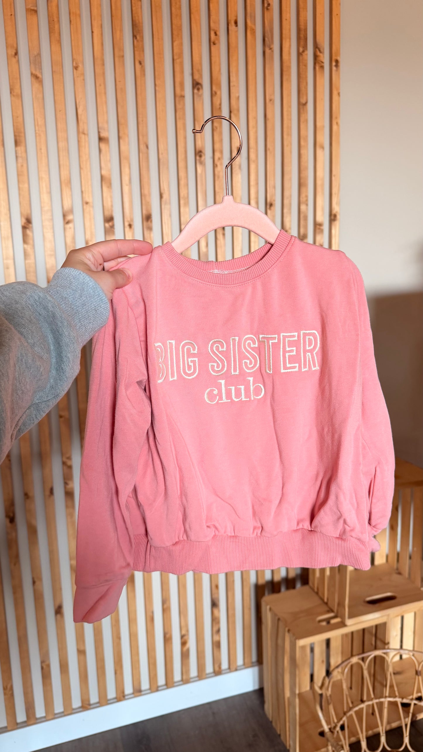 MM - Consignment - Teddy Little Pink Big Sister Club Crew 6/7