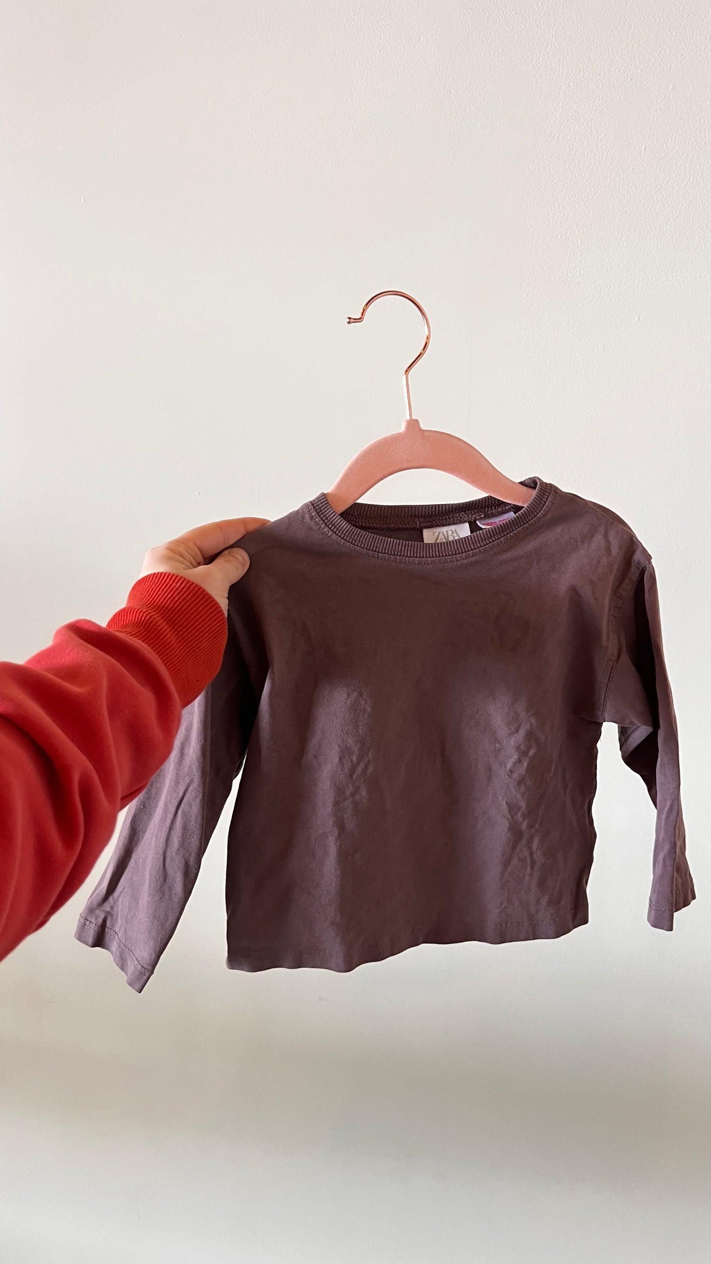 RJ - Consignment - Zara Plum Long Sleeve 2Y