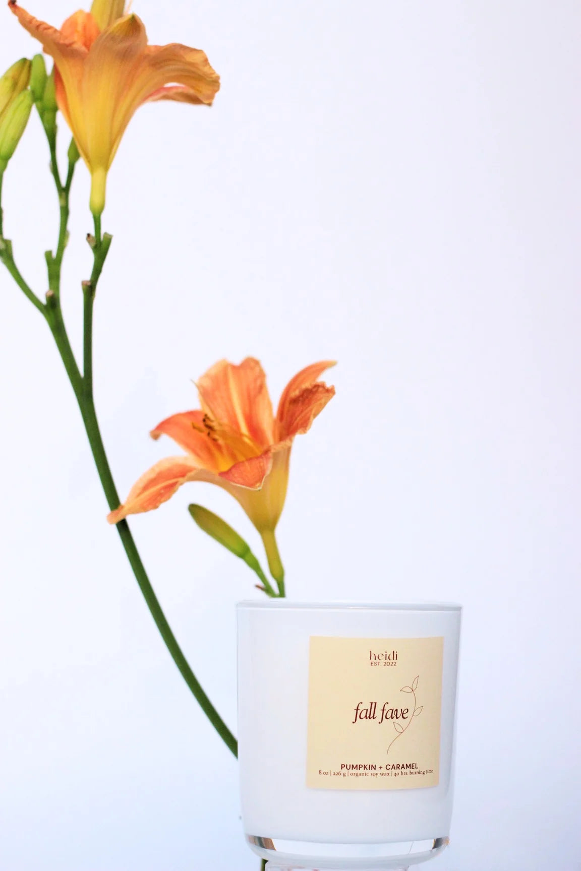 Heidi Studio - Fall Fave Candle