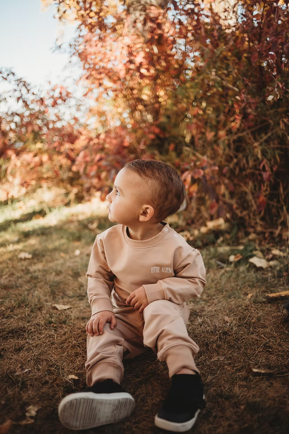 Little Aspen Baby - Latte Jogger Set